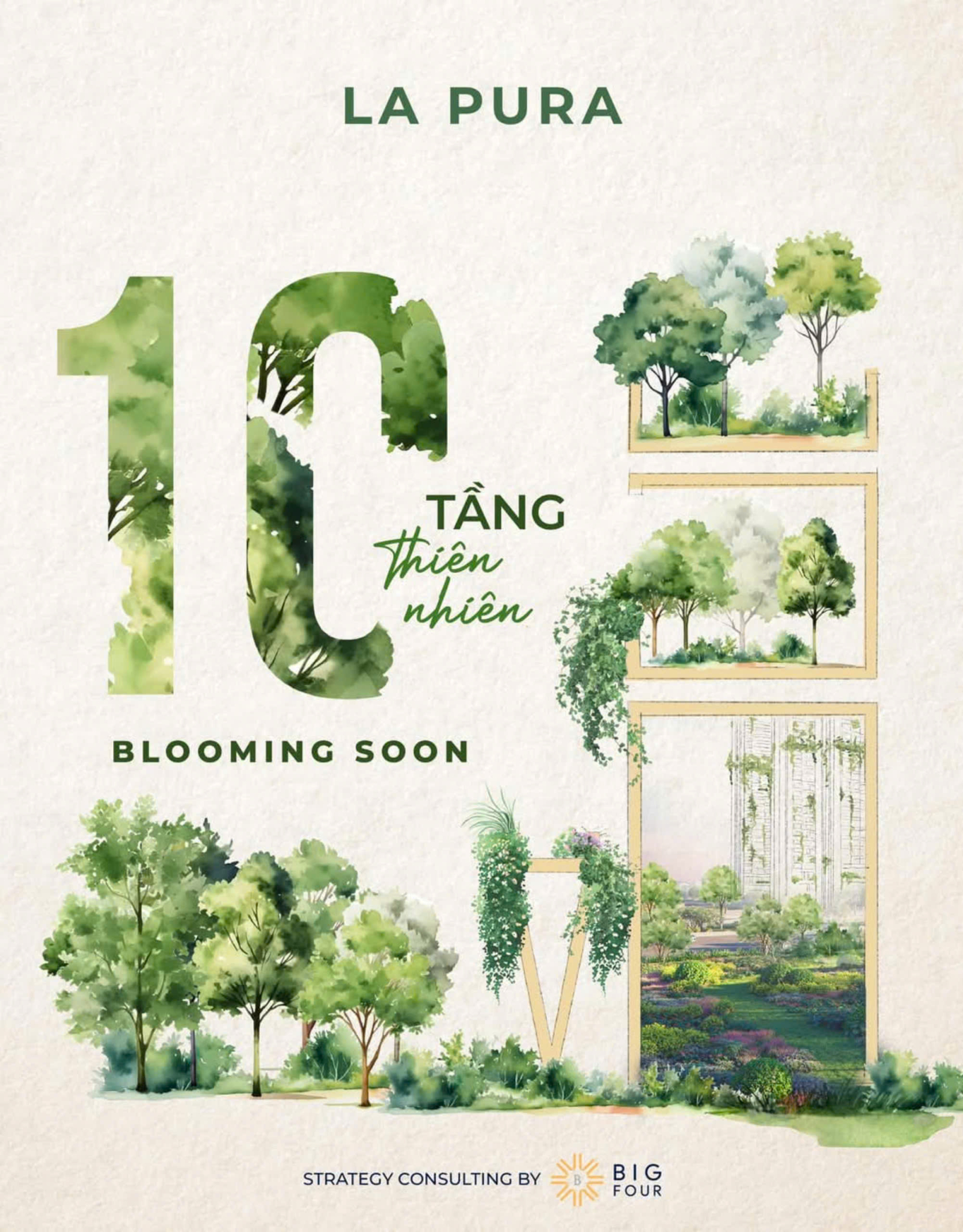 Hình ảnh từ bài viết