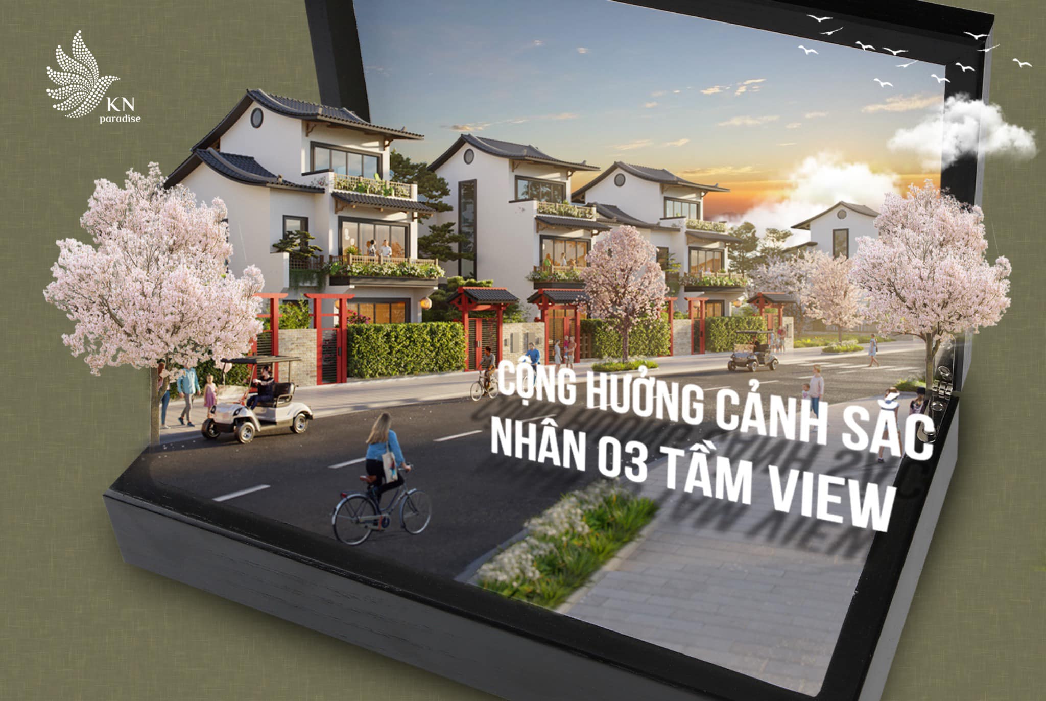 Hình ảnh từ bài viết