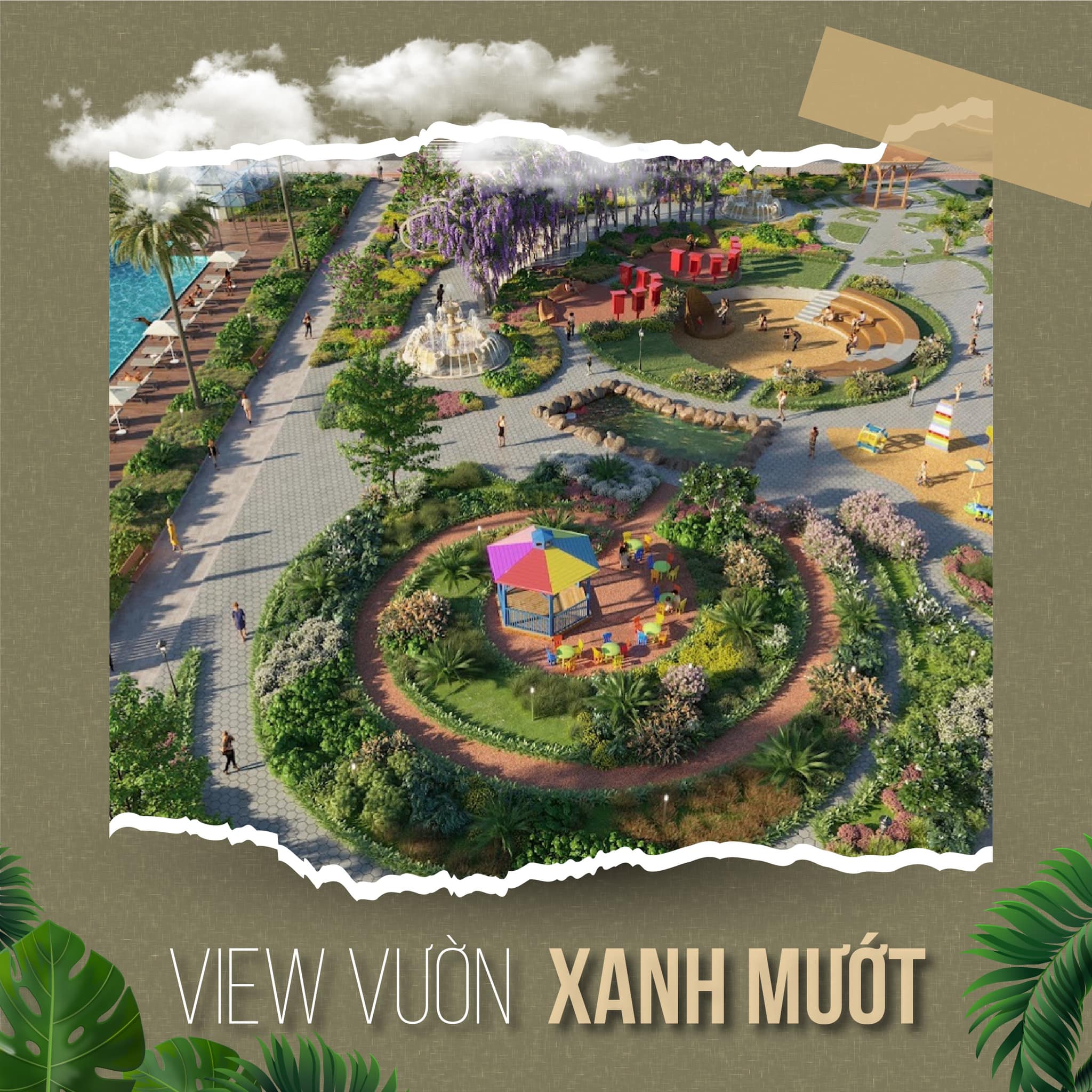 Hình ảnh từ bài viết