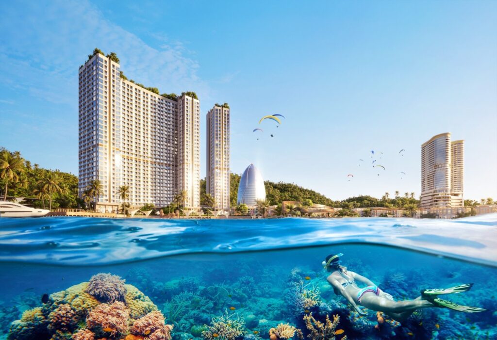 Hình ảnh từ bài viết