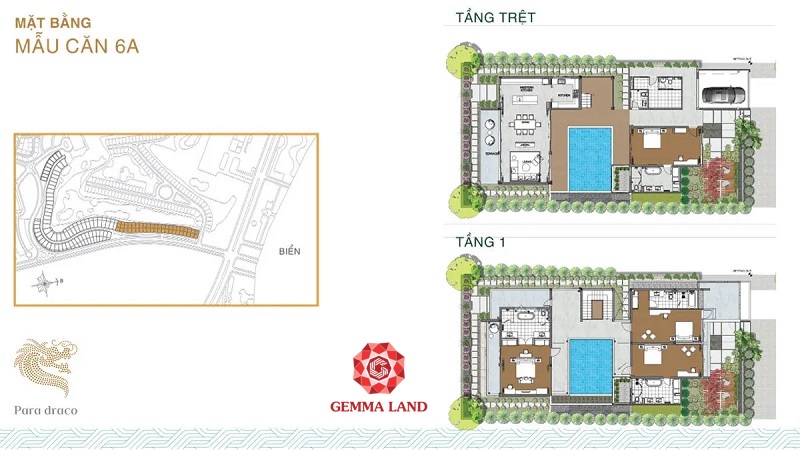 Hình ảnh từ bài viết