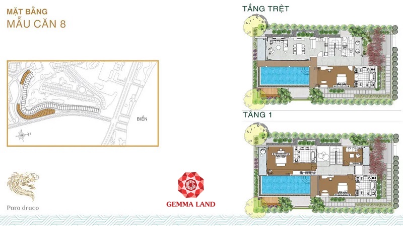Hình ảnh từ bài viết