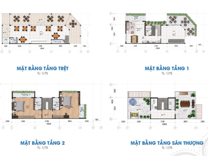 Hình ảnh từ bài viết