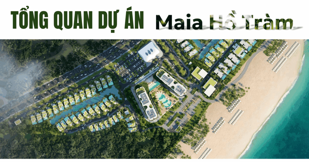 Hình ảnh từ bài viết