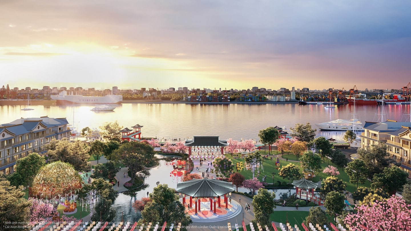 Hình ảnh từ bài viết