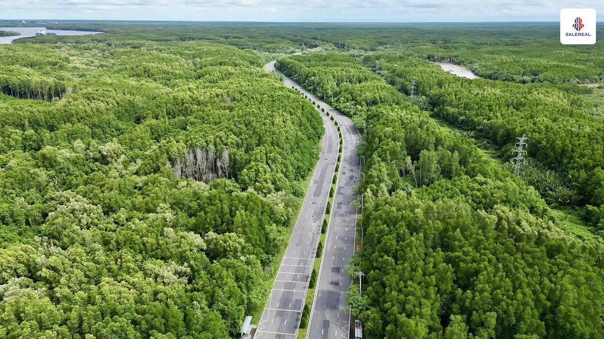 Vì sao Vinhomes Green Paradise là dự án biển tiềm năng nhất năm 2025? Hình ảnh từ bài viết