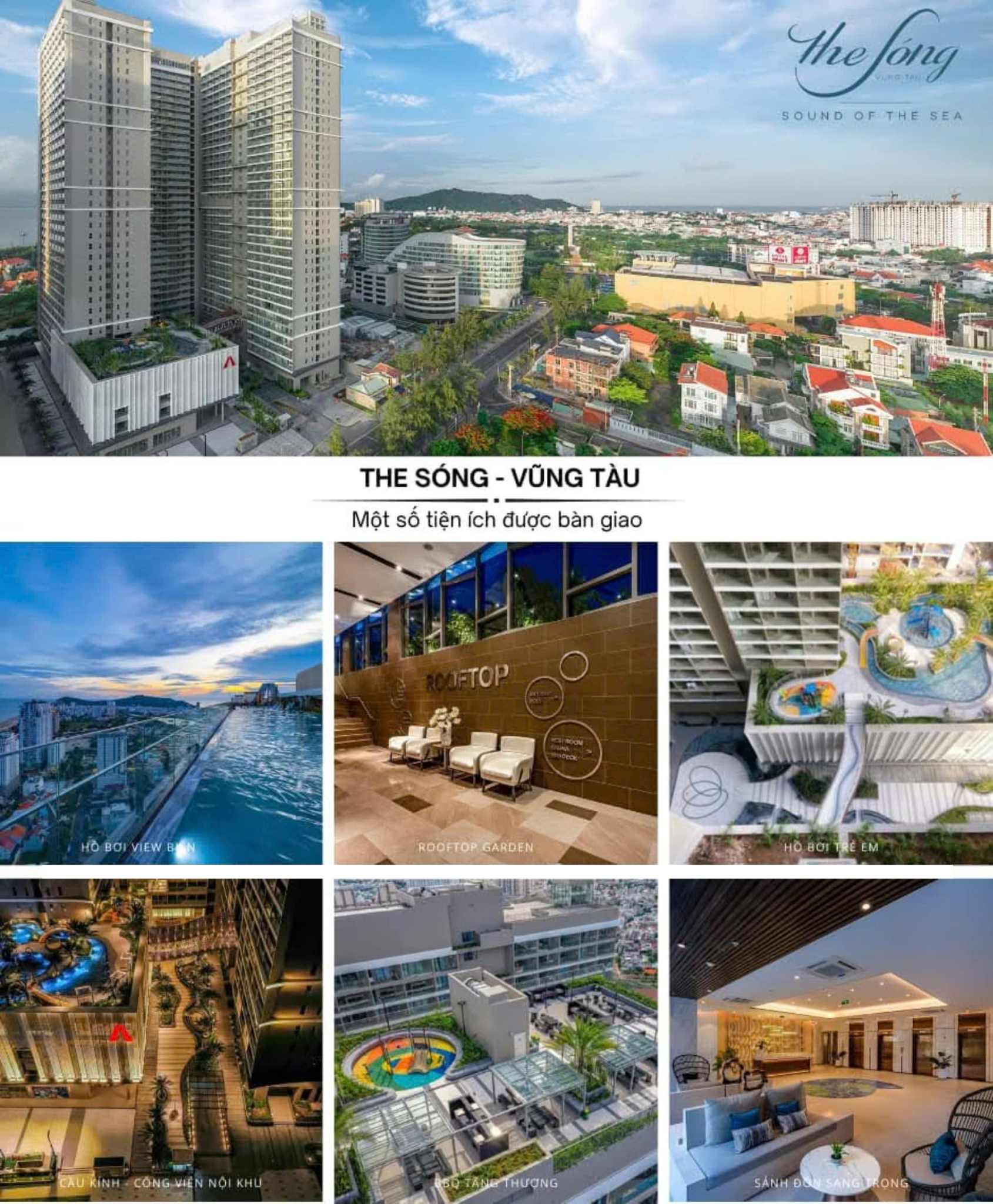 Hình ảnh từ bài viết