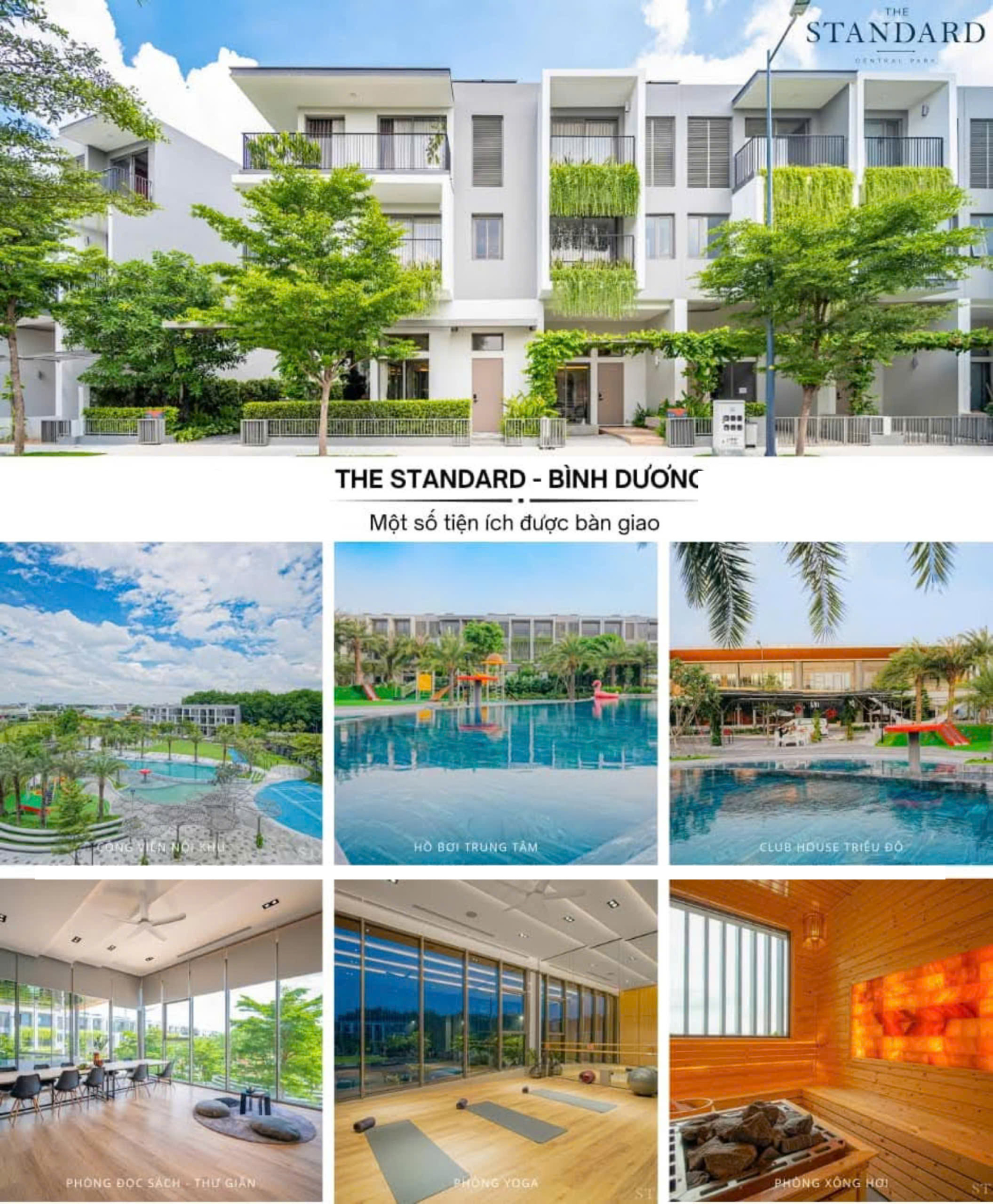 Hình ảnh từ bài viết