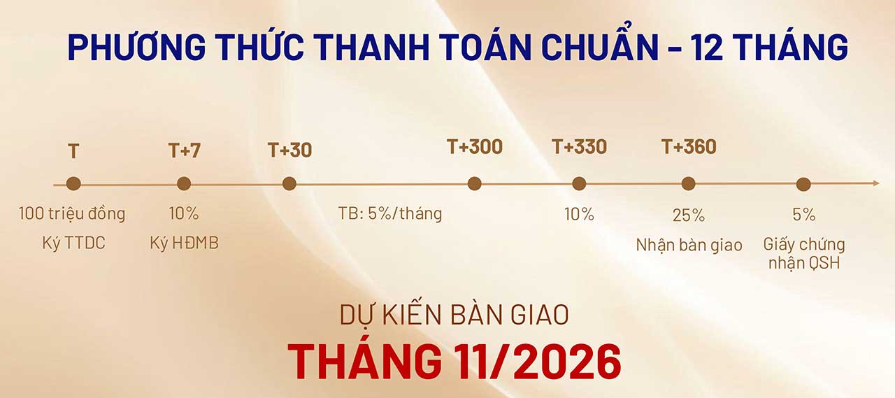 Hình ảnh từ bài viết