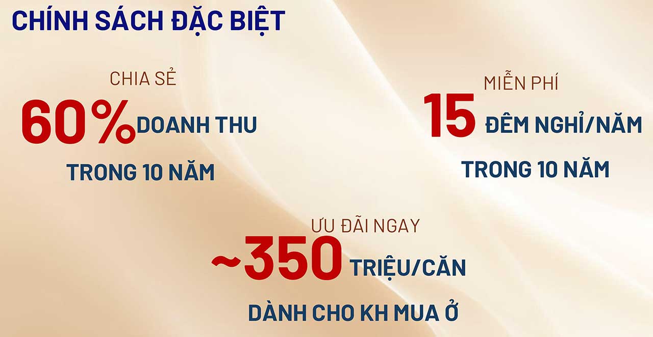 Hình ảnh từ bài viết