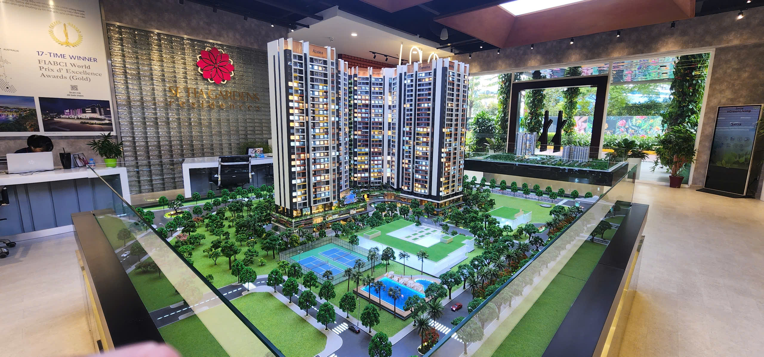 Hình ảnh từ bài viết