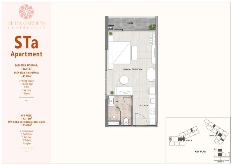 Hình ảnh từ bài viết