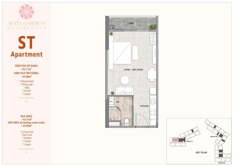 Hình ảnh từ bài viết