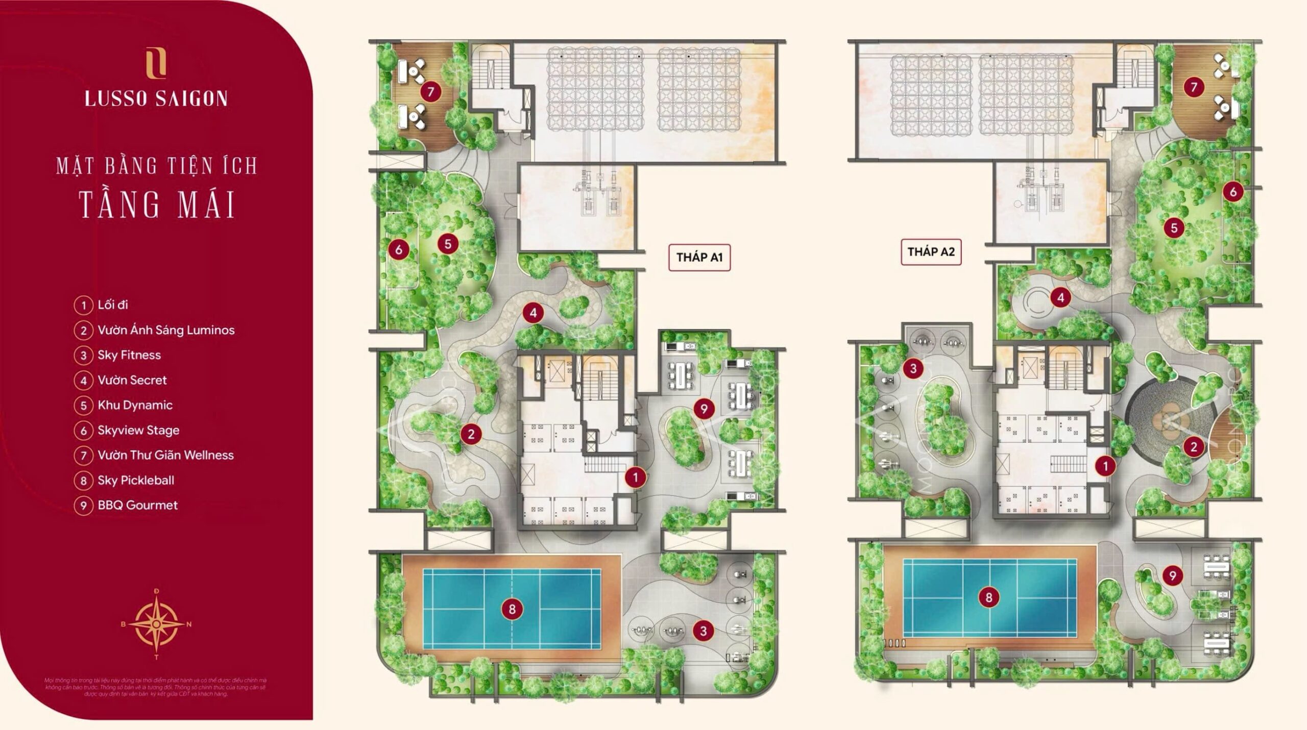 Hình ảnh từ bài viết