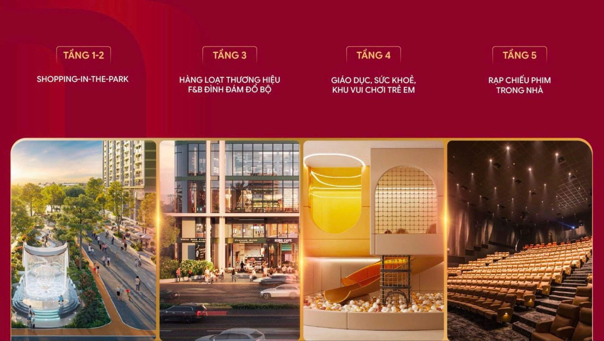 Hình ảnh từ bài viết